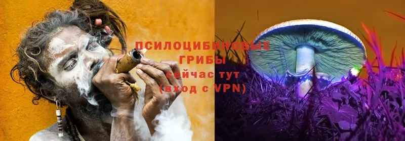 Галлюциногенные грибы GOLDEN TEACHER  omg ТОР  Шагонар 